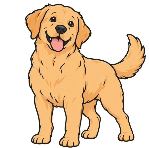 Labrador illustration